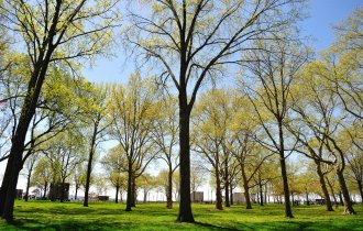 Battery Park