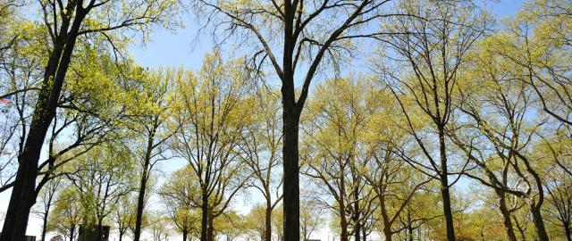 Battery Park