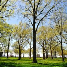 Battery Park