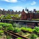 High Line